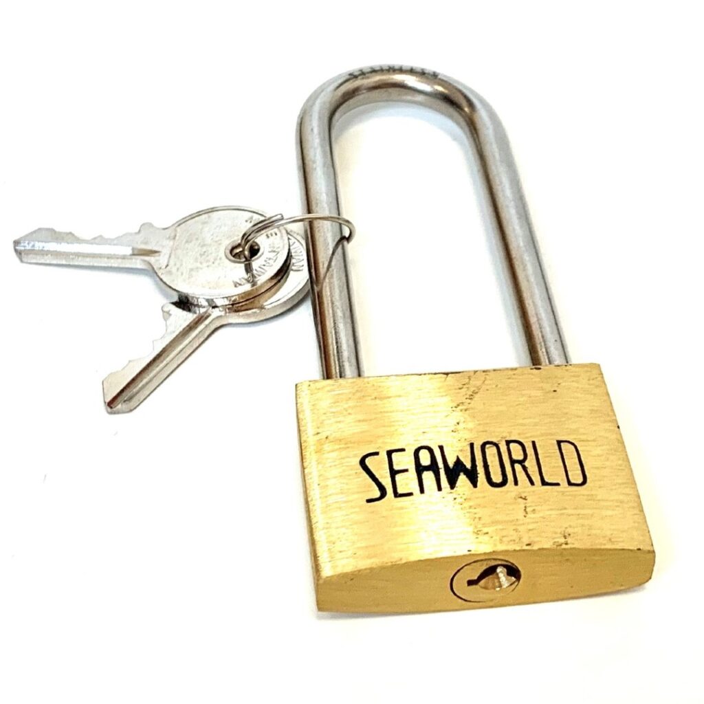 Brass Padlocks with Long Stainless Steel Shackles